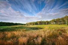 Lubker Sky Nine Photo by Kevin Murray