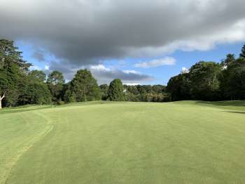 View of double green on 16