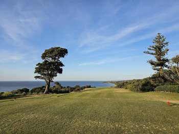 Mornington's iconic par three 7th