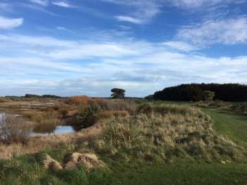 View from the tee on the drivable 16th