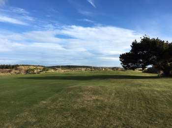 Approaching the 18th green