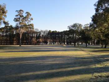 Par four 11th hole