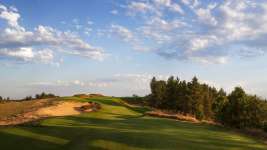 Par 3 8th hole. Photo by Ryan Farrow