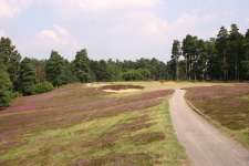 The strong par three 10th