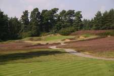 The 4th is the first standout par three at Swinley Forest