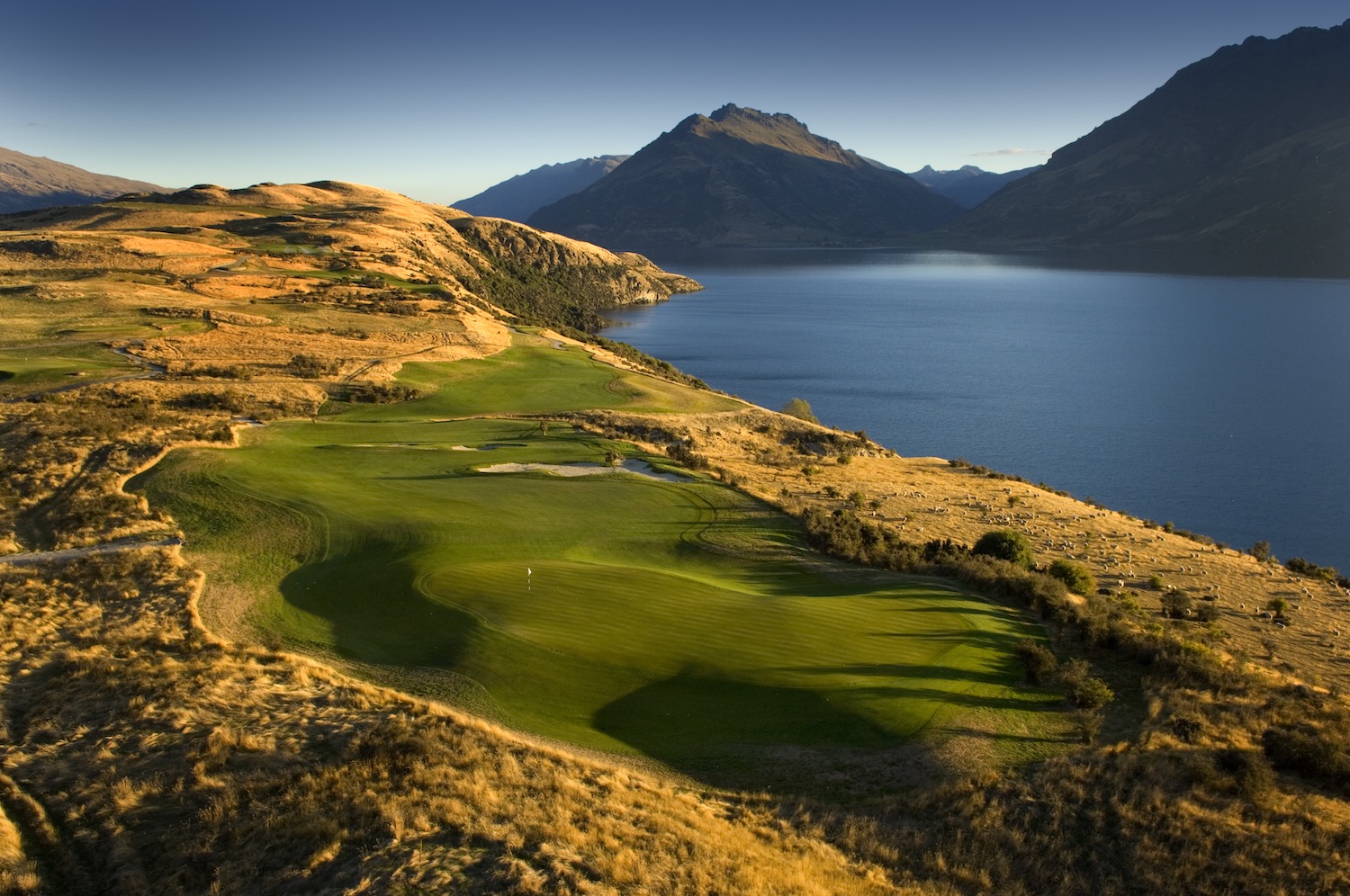 new zealand golf travel